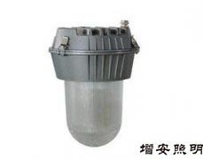 TG720防眩平臺泛光燈